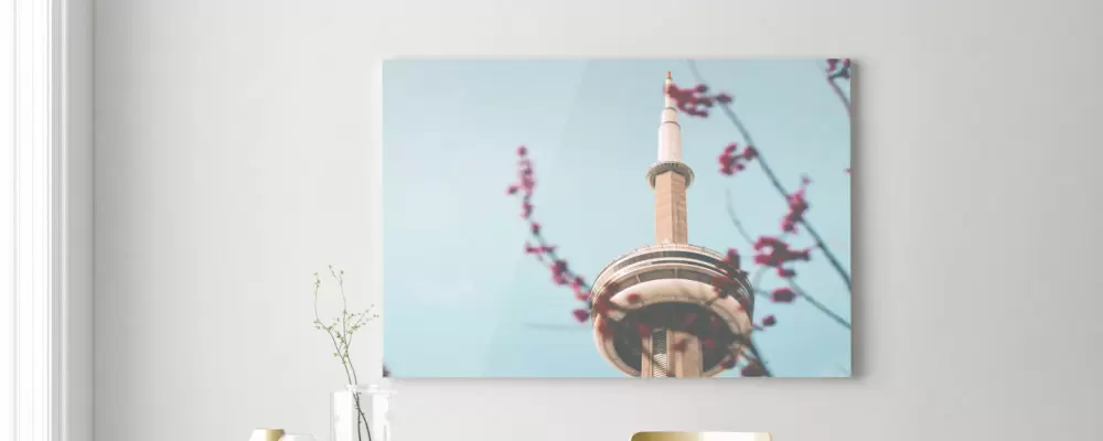 Sollte ich Leinwände vom Discounter kaufen? Fotoleinwand an Wand.