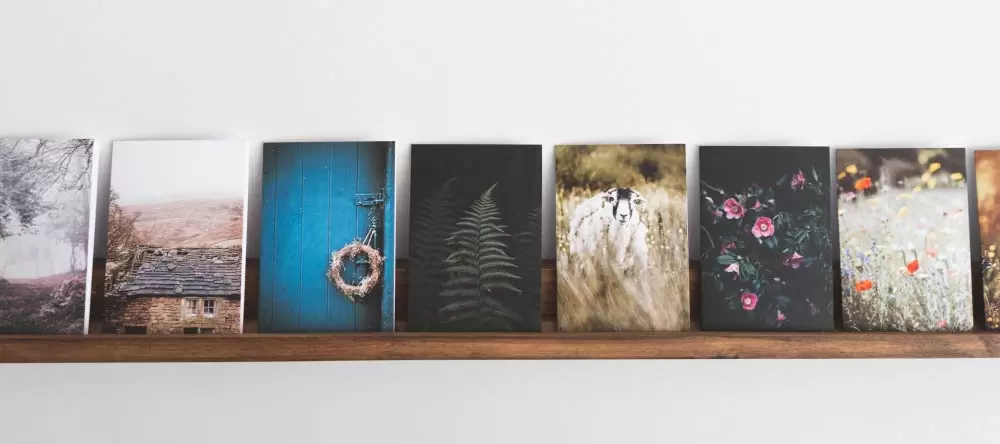 Wo gibt es die besten Leinwanddrucke für kleines Geld?